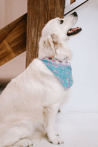 lovers-beach-dog-bandana-large
