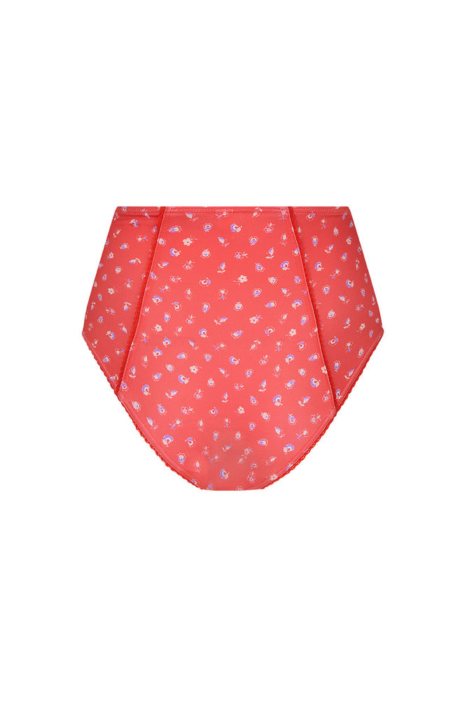 Sunshine Bandit High Waisted Brief