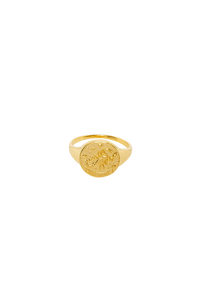 Scorpio Stargazer Zodiac Ring